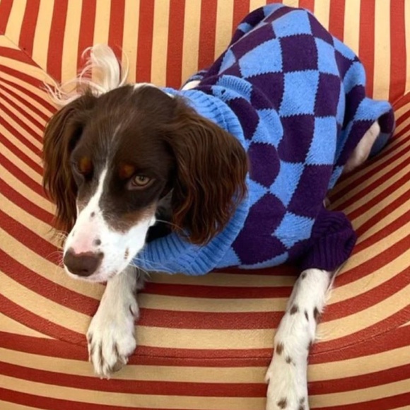 Little Beast Straight Outta Hamptons Argyle Dog Sweater, L - Picture 6 of 6